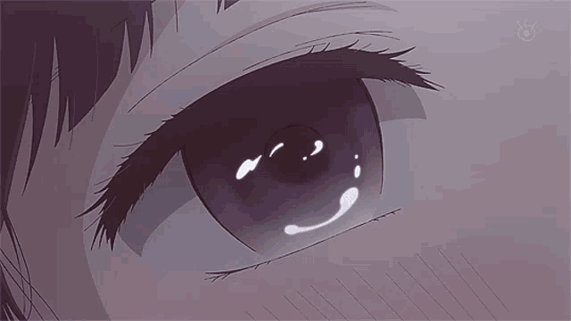 a close up of a girl 's eye with a tear running down it