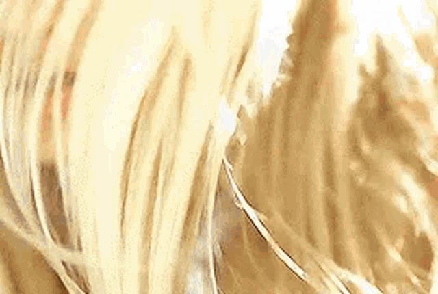 a close up of a woman 's blonde hair .