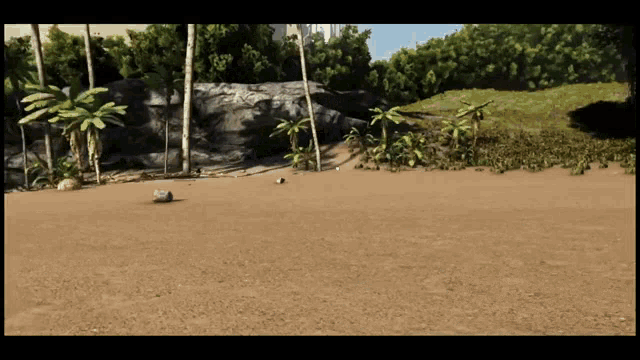 a sandy beach with trees and rocks in the background