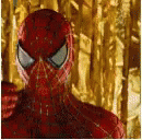 Spider Man Spider GIF - Spider Man Spider Man GIFs
