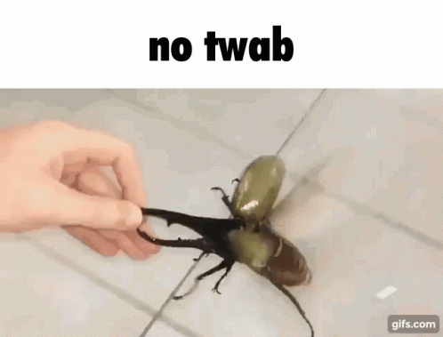No Twab GIF - No Twab GIFs