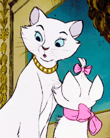 a white cat with a gold necklace and a pink bow on its neck
