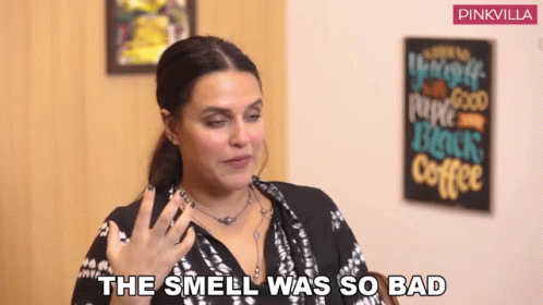 The Smell Was So Bad Neha Dhupia GIF - The Smell Was So Bad Neha Dhupia Pinkvilla GIFs