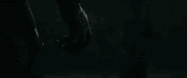 a person is walking through a dark forest at night .