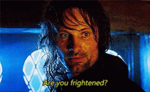 Lord Of The Rings Are You Scared GIF