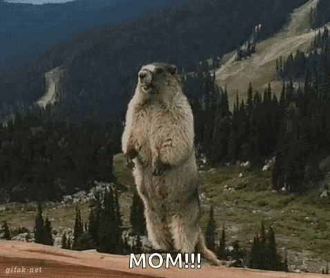 a ground squirrel standing on its hind legs with the words mom written below it