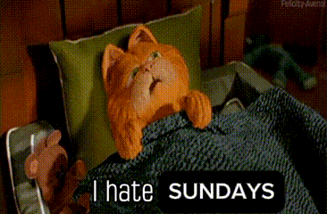 a cartoon cat is laying in bed with the words " i hate sundays " on the bottom