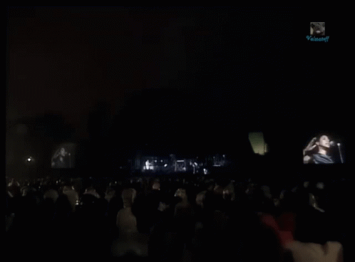 Oldfield Concert GIF - Oldfield Concert GIFs