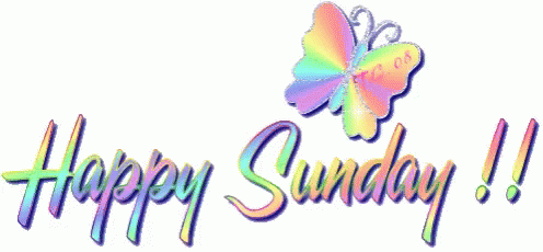 Happy Sunday Butterfly GIF - Happy Sunday Butterfly GIFs