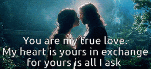 Lord Of The Rings In Love GIF - Lord Of The Rings In Love True Love GIFs