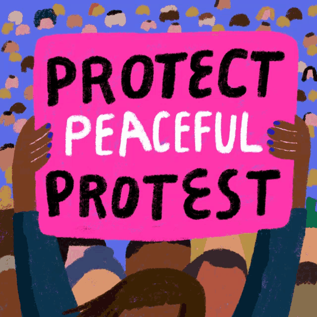 a pink sign that says protect peaceful protest on it