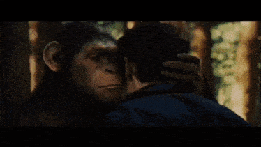 a man and a chimpanzee are looking at each other in a dark room