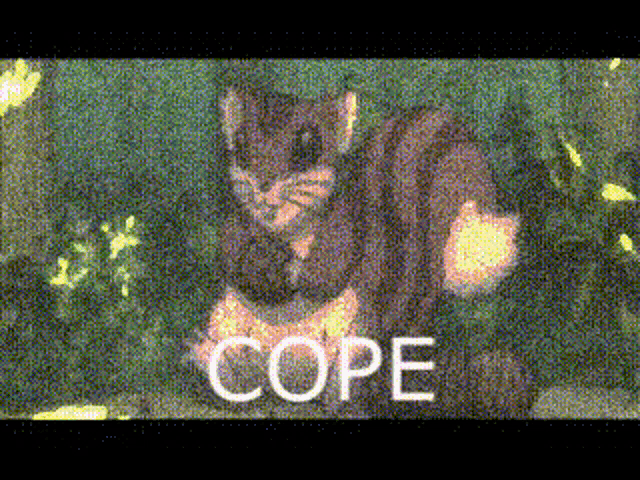 a picture of a cat with the word cope written on it
