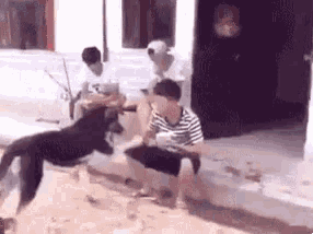 a group of people are sitting on a sidewalk while a dog runs around them .