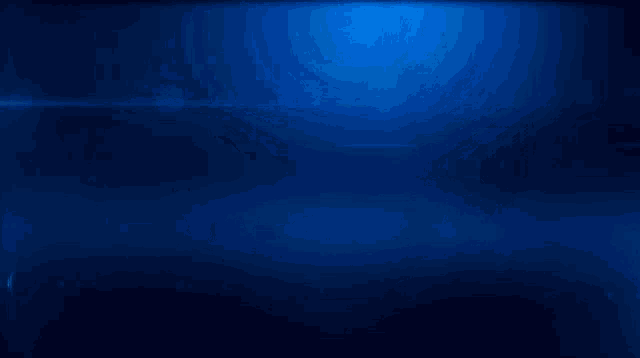 Basis19 Metalieur GIF