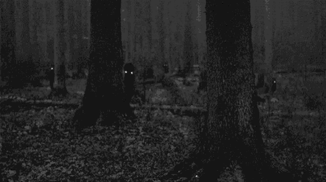 Peeking Ghost In Forest GIF - Peeking Ghost In Forest GIFs