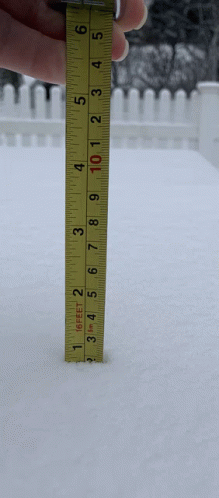 Snowpocalypse GIF - Snowpocalypse GIFs