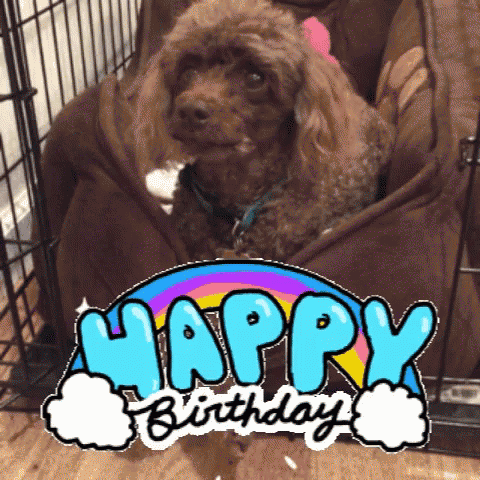 Happy Birthday Dog GIF - Happy Birthday Dog Funny Animals GIFs