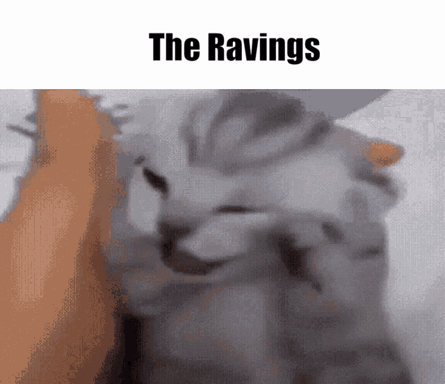 The Ravings Lord Of The Mysteries GIF - The Ravings Lord Of The Mysteries Lotm GIFs