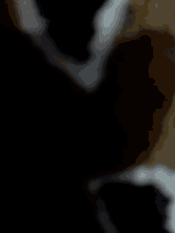 a close up of a cat 's face with a blurry background