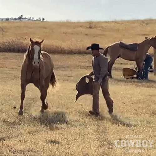 Chasing A Horse Chris Becker GIF - Chasing A Horse Chris Becker Ultimate Cowboy Showdown GIFs