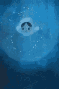 a shark is swimming in the ocean with bubbles coming out of it .