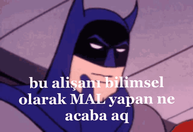a cartoon of batman with the words " bu alisani bilimsel olarak mal yapan ne acaba aq " above him