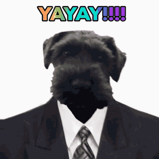 a black dog is wearing a suit and tie and says yayay !!!