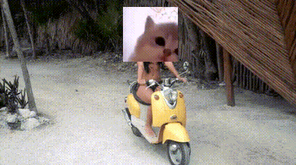 a woman is riding a yellow scooter with a picture of a cat behind her