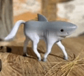 Sharkhorse GIF - Sharkhorse Hark GIFs