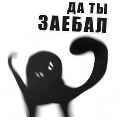 a silhouette of a cat with the words `` da tbi zaebal '' in russian .