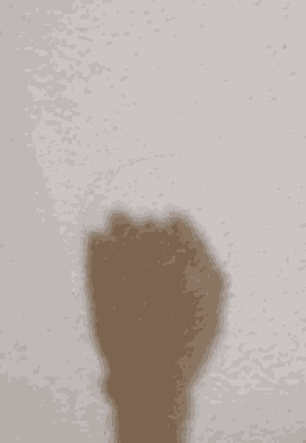 a shadow of a hand giving the middle finger on a white wall