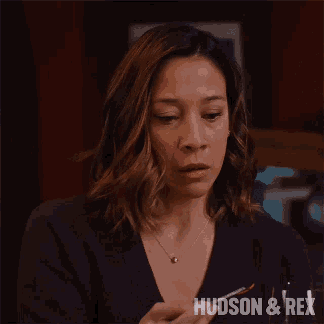a close up of a woman 's face with the words hudson & rex on the bottom right