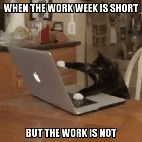 Short Work Week Work Week Is Short GIF - Short Work Week Work Week Is Short Work Is Not Short GIFs