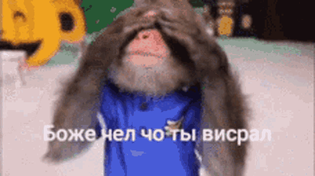 a monkey wearing a blue shirt is covering its eyes