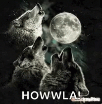 Howlingatthe Moon Wolf GIF - Howlingatthe Moon Wolf Moon GIFs