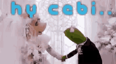 kermit the frog and miss piggy are shaking hands in front of a sign that says hycabi ..