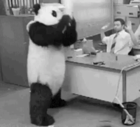 Urso Panda Irritado / Xingando / Filho Da Puta GIF - Panda Rage GIFs