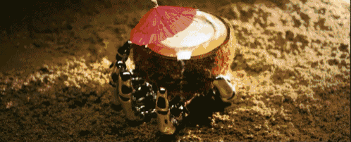 a coconut with a red umbrella in it