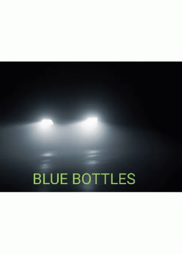 Blue Bottles GIF - Blue Bottles Police Car GIFs