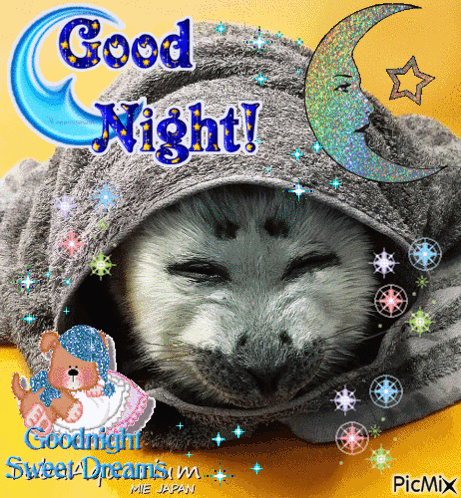 Goodnight Seal GIF