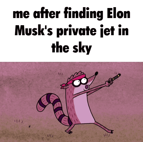 a cartoon of a raccoon holding a gun with the caption me after finding elon musk