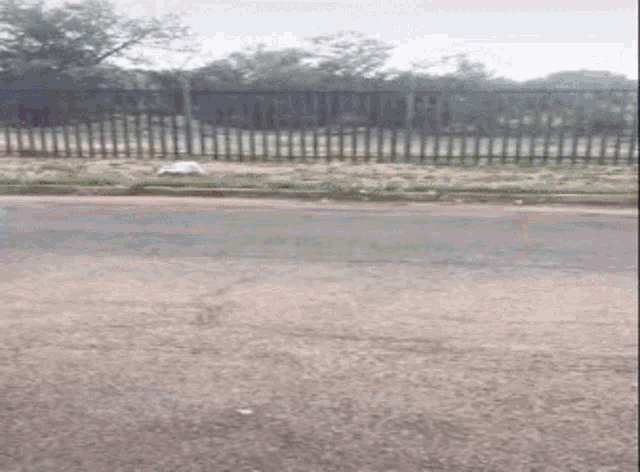 Middle Finger Running GIF - Middle Finger Running Oops GIFs