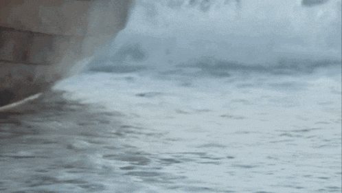 a close up of a person 's legs walking in the water