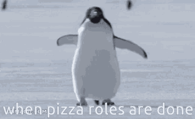 a penguin is walking in the snow with the words `` when pizza roles are done '' written below it .