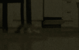 a black and white photo of a cat laying on the floor in a kitchen .