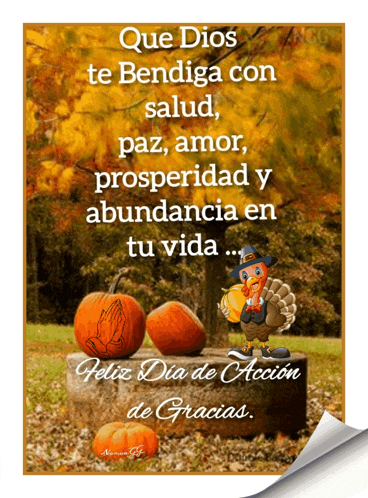 a picture of pumpkins and a turkey with the words que dios te bendiga con salud paz amor prosperidad y abundancia en tu vida