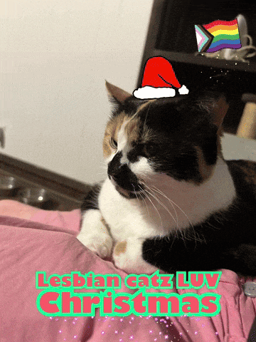 a calico cat wearing a santa hat with the words lesbian catz love christmas below