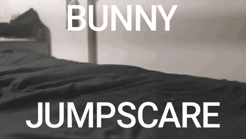 bunny jumpscare is written in white on a black background