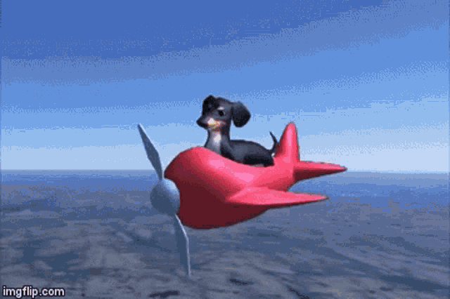 Dog Plane GIF - Dog Plane Joe GIFs